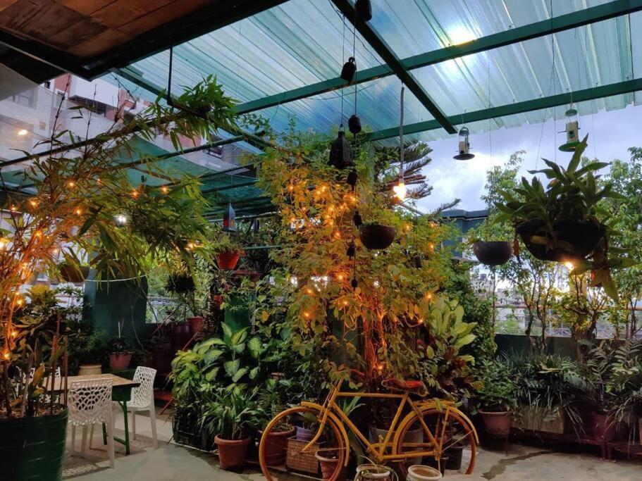 The Nook Rooftop Condo And Garden Guwahati Dış mekan fotoğraf